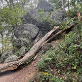 Review photo of Peaks Of Otter Campground — Blue Ridge Parkway by Timothy B., September 1, 2024