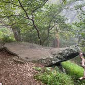 Review photo of Peaks Of Otter Campground — Blue Ridge Parkway by Timothy B., September 1, 2024