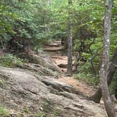 Review photo of Peaks Of Otter Campground — Blue Ridge Parkway by Timothy B., September 1, 2024