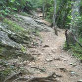 Review photo of Peaks Of Otter Campground — Blue Ridge Parkway by Timothy B., September 1, 2024