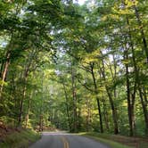 Review photo of Pocahontas State Park Campground by Janet R., June 20, 2024