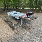 Review photo of Pocahontas State Park Campground by Linda B., September 13, 2024