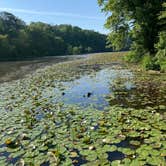 Review photo of Pocahontas State Park Campground by Janet R., June 20, 2024