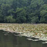 Review photo of Pocahontas State Park Campground by Kaylee G., May 8, 2026