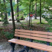 Review photo of Pocahontas State Park Campground by Janet R., June 20, 2024