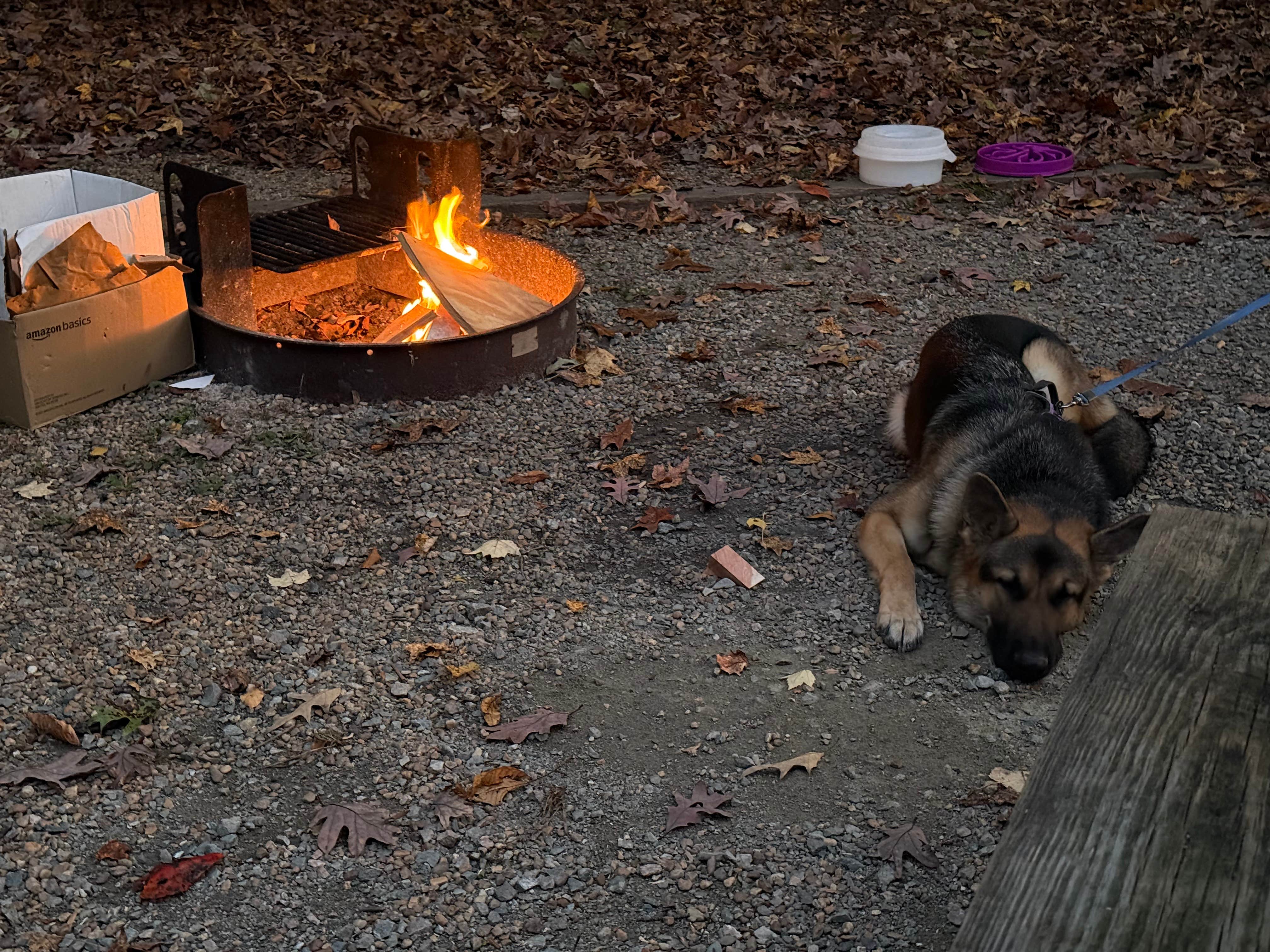 Brian B.'s photo of camping with pets at Pocahontas State Park Campground near Chester, VA