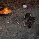 Review photo of Pocahontas State Park Campground by Brian B., November 1, 2025