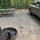 Review photo of Pocahontas State Park Campground by Janet R., June 20, 2024