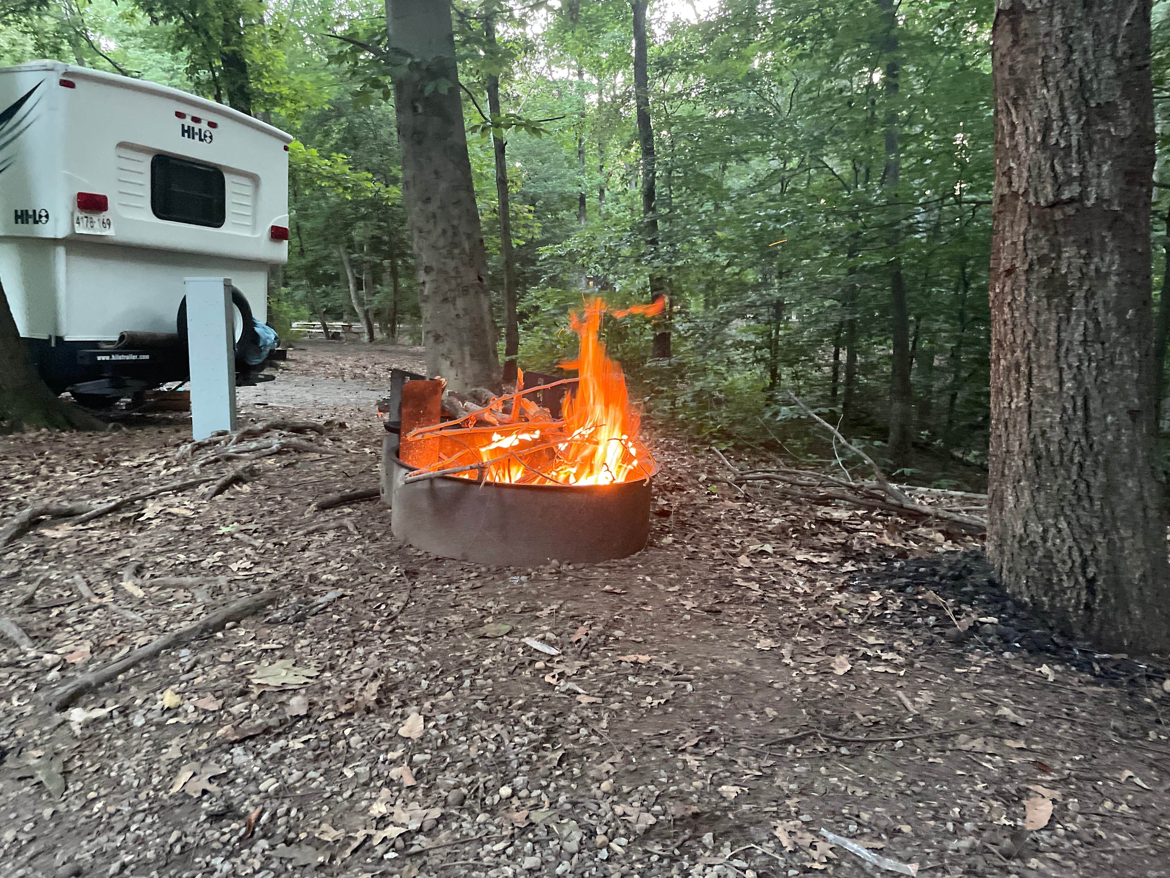 Trees F.'s photo at Pohick Bay Campground near Fort Dupont Park