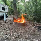 Review photo of Pohick Bay Campground by Trees F., July 16, 2024