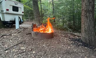 Trees F.'s photo at Pohick Bay Campground near La Plata, MD