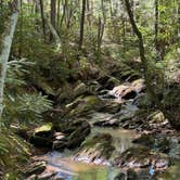 Review photo of Raccoon Branch Campground by Chris B., September 27, 2026
