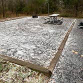 Review photo of Andy Guest/Shenandoah River State Park Campground by Adam and Suzanne B., January 19, 2025