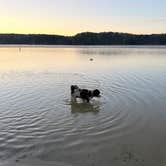 Review photo of Smith Mountain Lake State Park Campground by Cary C., October 7, 2026