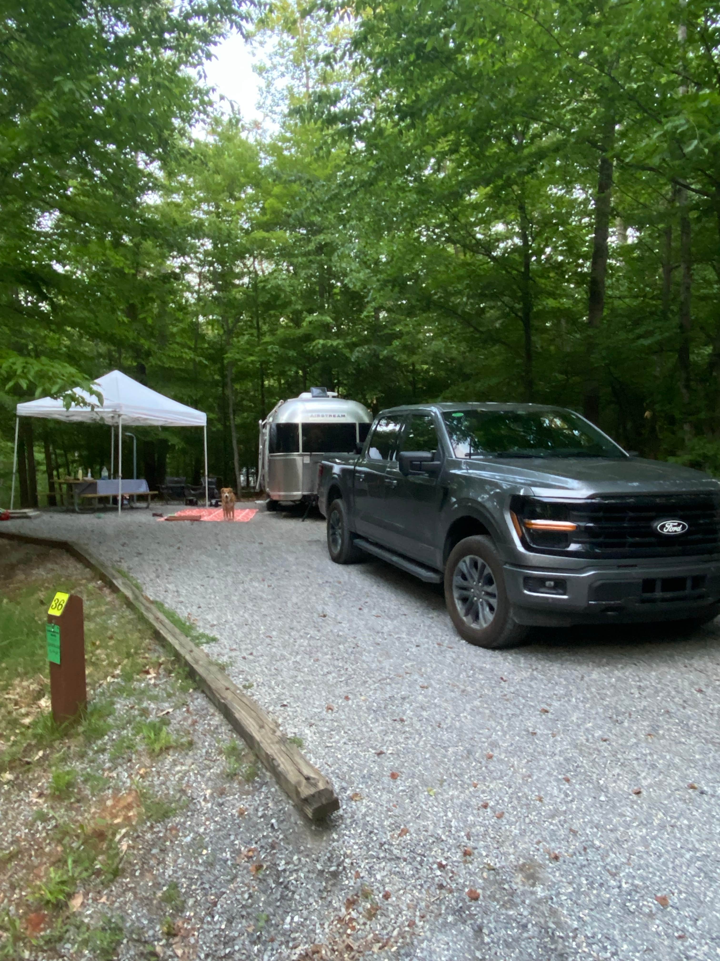 Scott B.'s photo of camping with pets at Smith Mountain Lake State Park Campground near Danville, VA