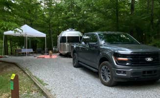 Scott B.'s photo of camping with pets at Smith Mountain Lake State Park Campground near Bent Mountain, VA