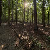 Review photo of Sugar Hollow Campground by Ryan M., July 30, 2025