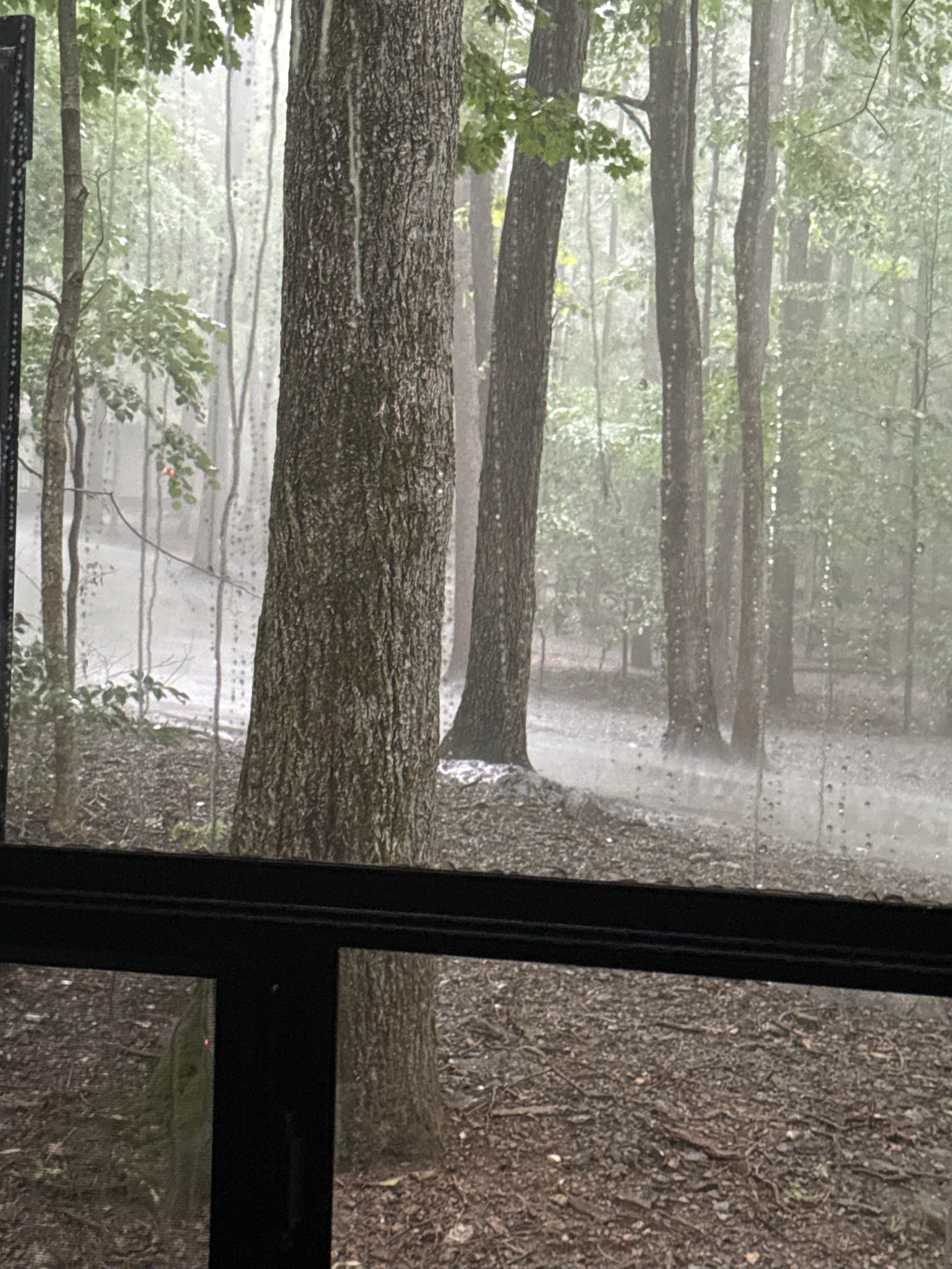 Camper-submitted photo at Sugar Hollow Campground near Bristol, TN