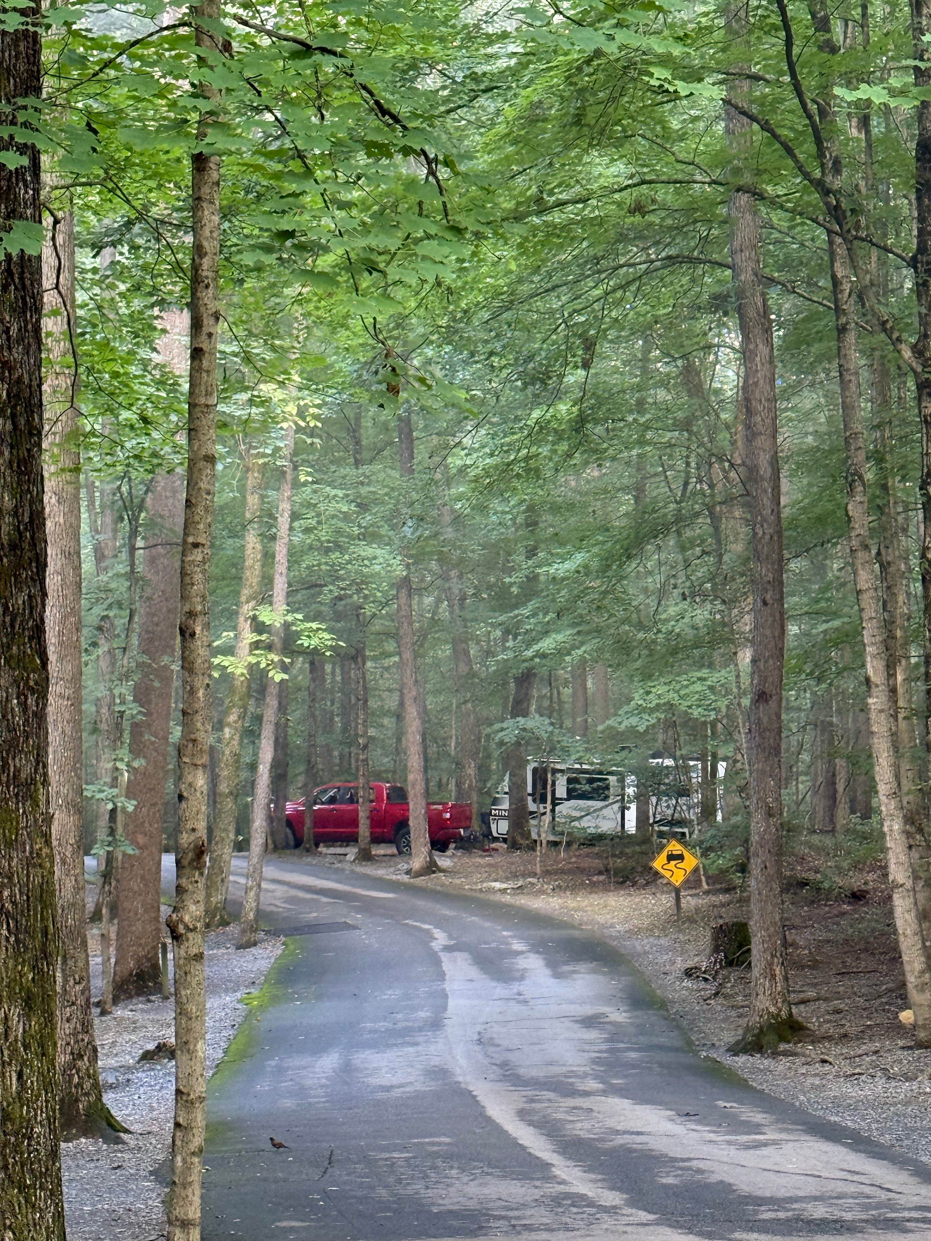 Camper-submitted photo at Sugar Hollow Campground near Bristol, TN