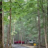 Review photo of Sugar Hollow Campground by Ryan M., July 30, 2025
