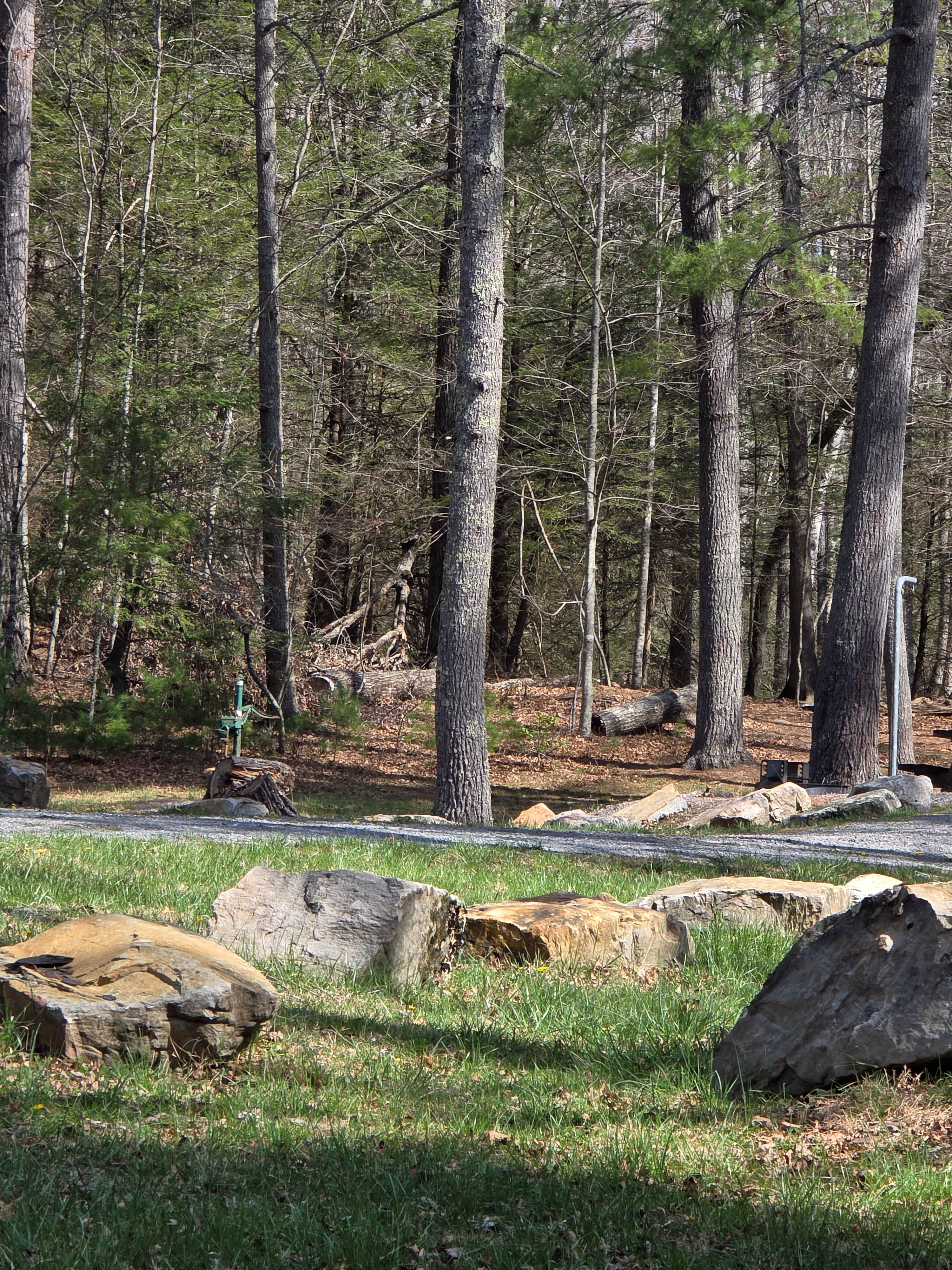 Camper-submitted photo at Walnut Flats Campground near Dublin, VA