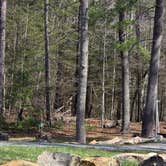 Review photo of Walnut Flats Campground by Bridgett W., April 6, 2026