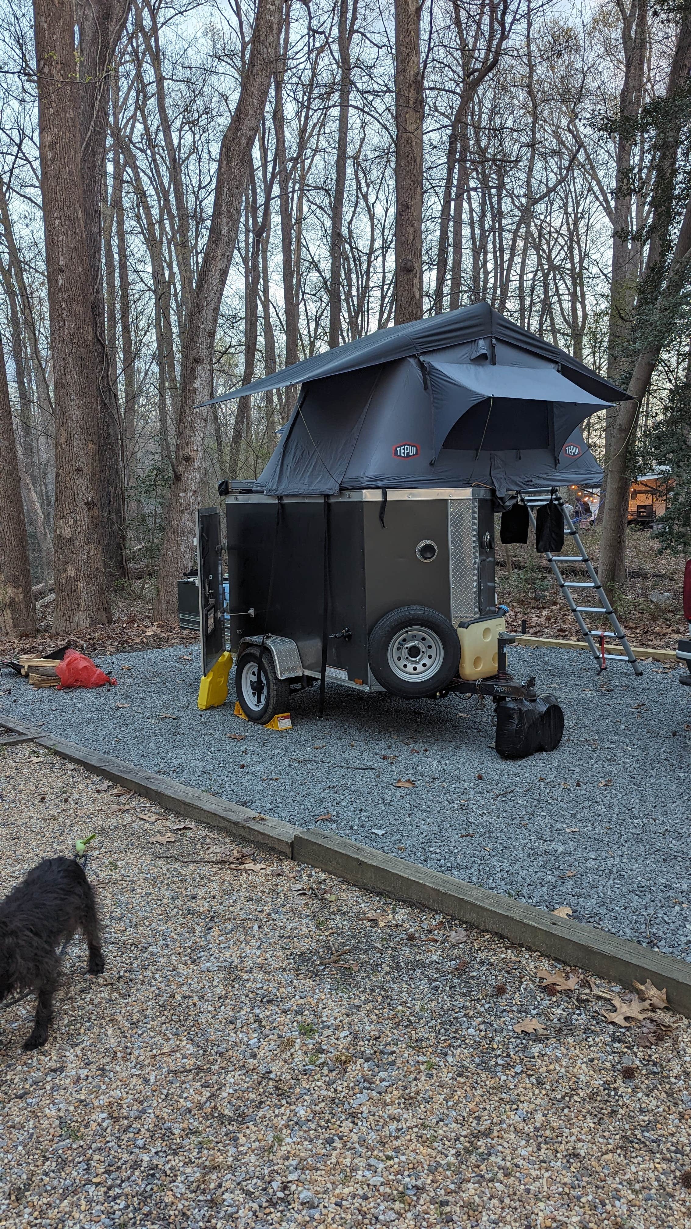Mallory H.'s photo of camping with pets at Westmoreland State Park Campground near Hughesville, MD