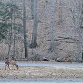 Review photo of Westmoreland State Park Campground by Sara A., March 16, 2025