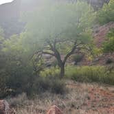 Review photo of Vista Linda Campground — Santa Fe National Forest by Kathy B., April 21, 2026