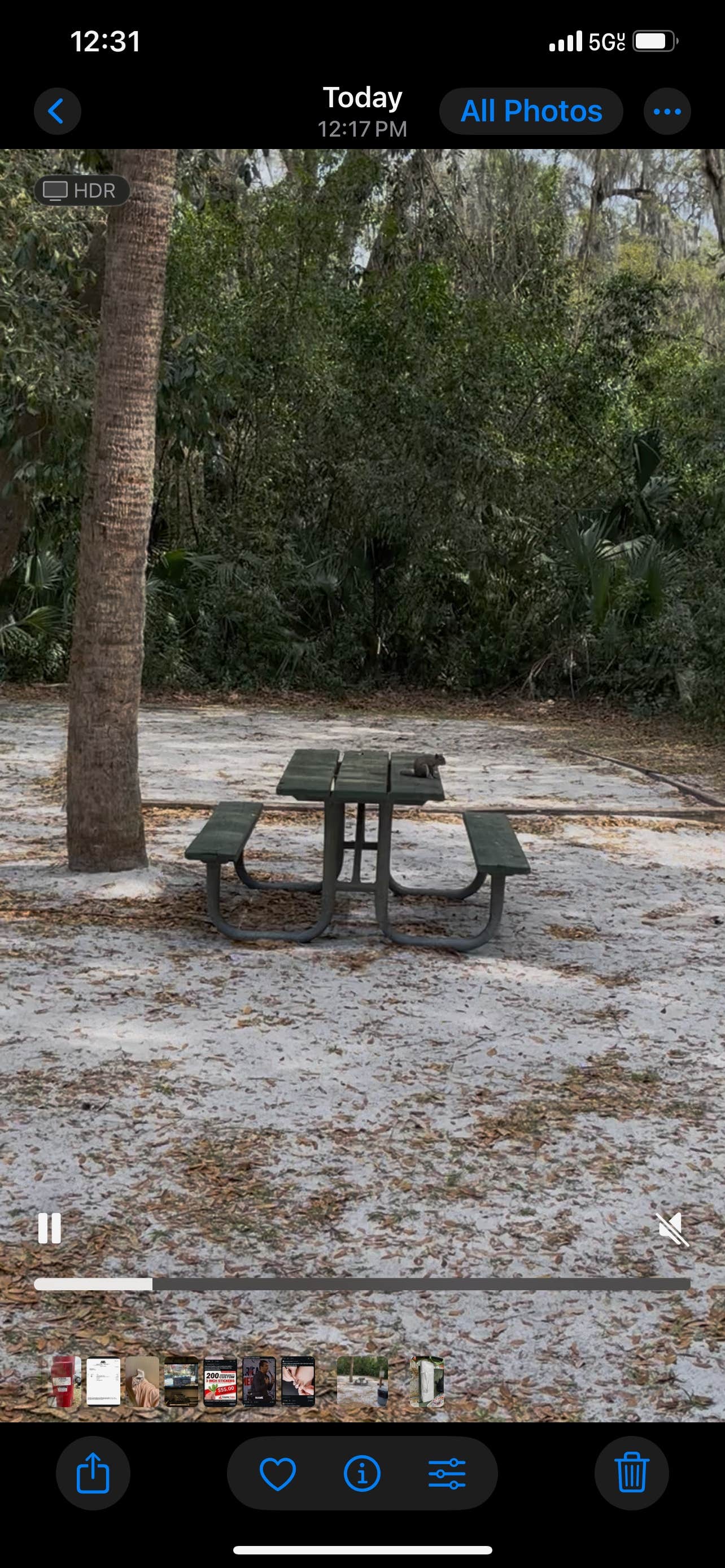 Camper-submitted photo at Volusia County Park Gemini Springs Campground near Orange City, FL