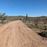 Review photo of Vulture Mine Road South Dispersed by Greg L., February 14, 2024