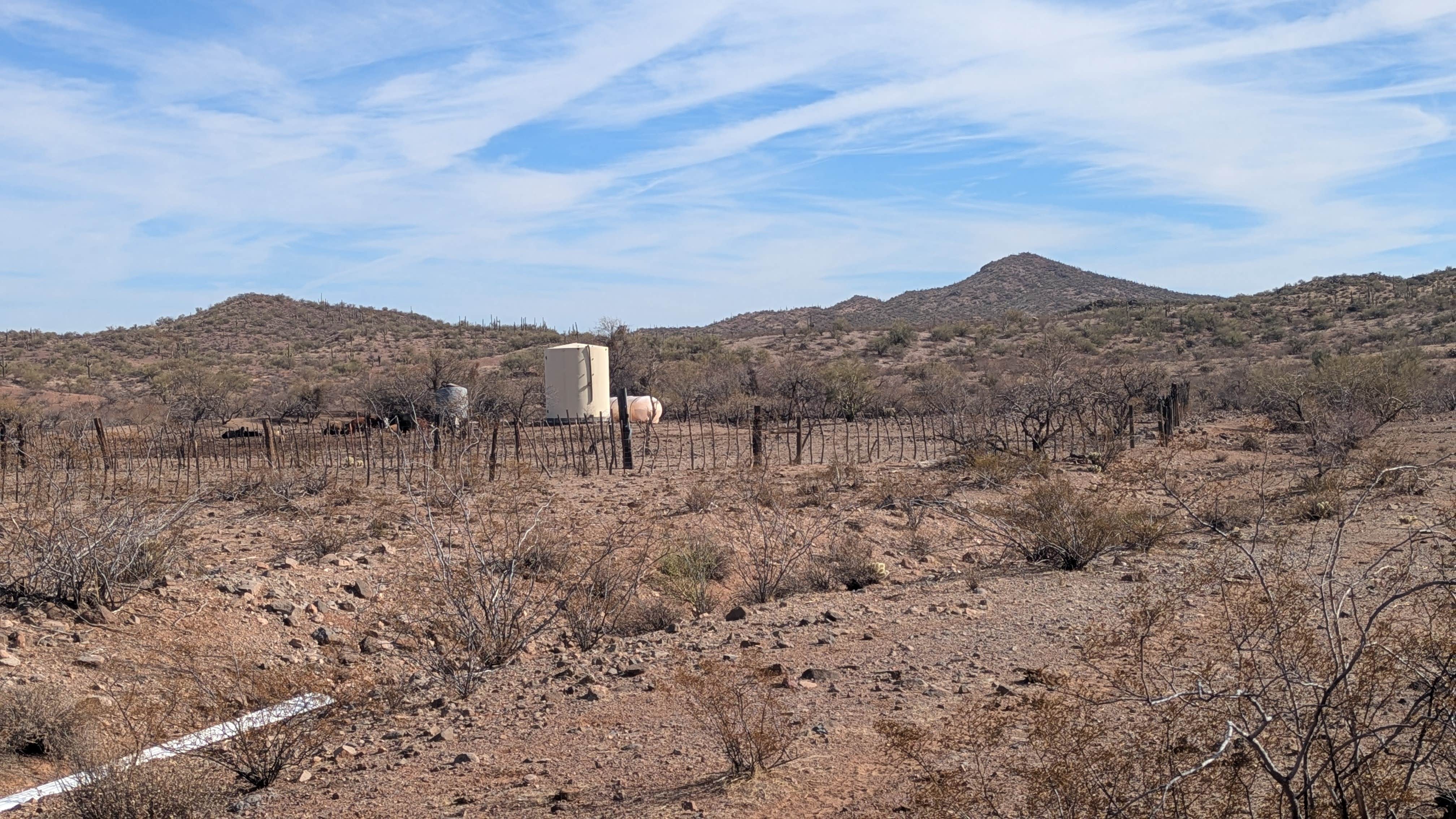 Camper-submitted photo at Vulture Mine Road South Dispersed near Wickenburg, AZ