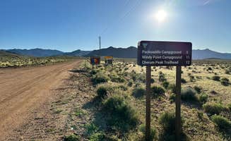 Lauren M.'s photo of a dispersed camping area at W Big Wash Road Dispersed near Dolan Springs, AZ