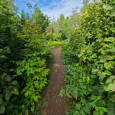 Review photo of West Chickenbone Campground — Isle Royale National Park by Tori K., November 1, 2024