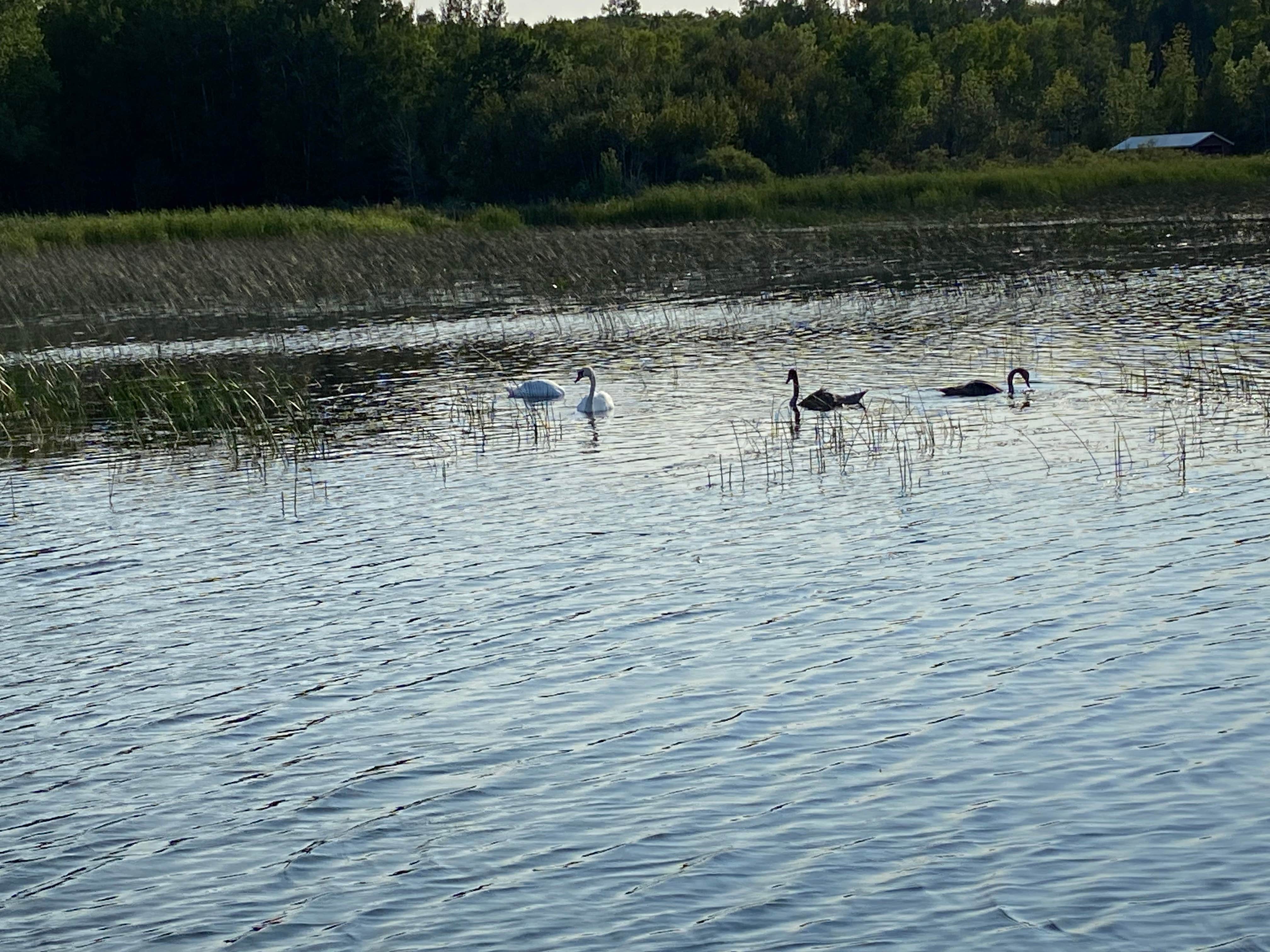 Camper-submitted photo at Wa-Wen Resort near De Tour Village, MI
