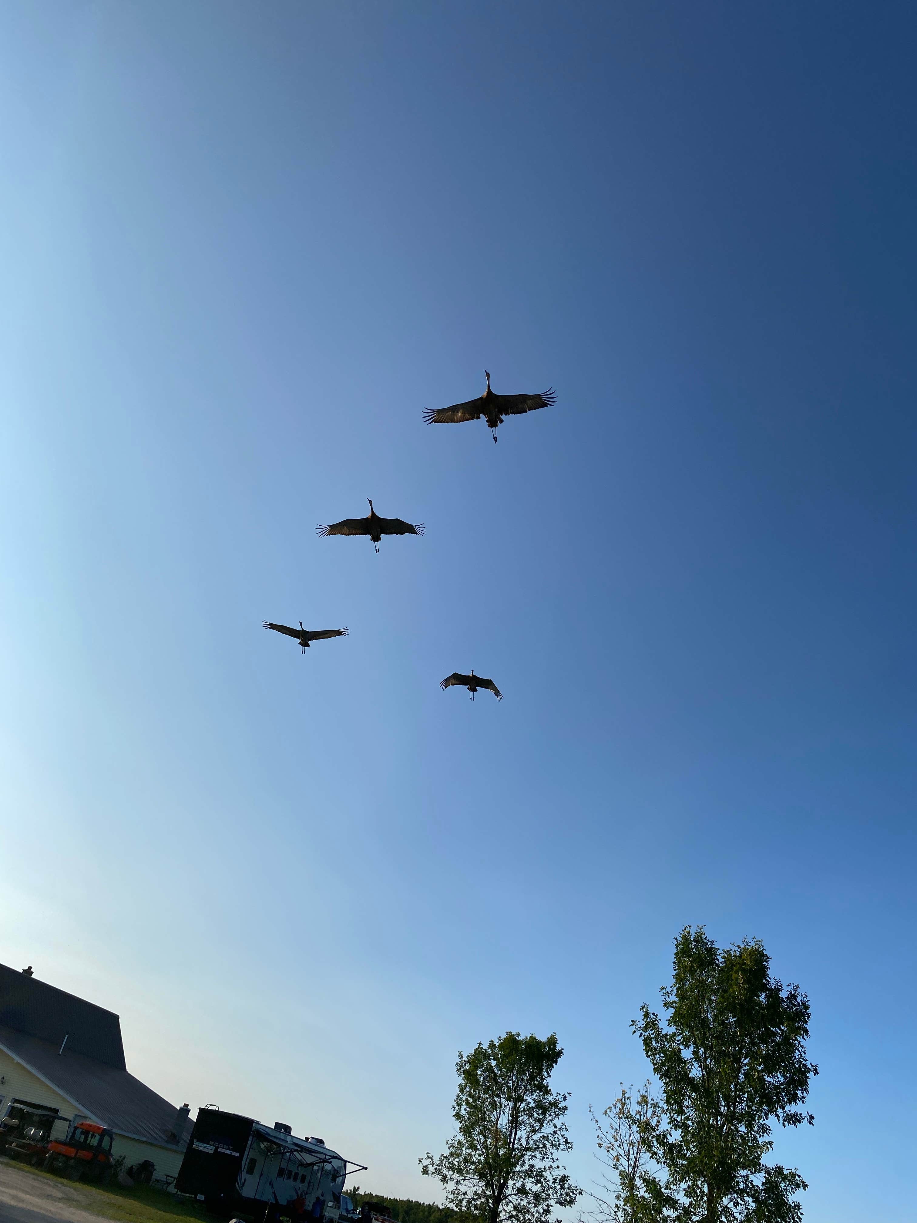 Camper-submitted photo at Wa-Wen Resort near De Tour Village, MI