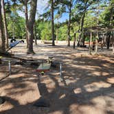 Review photo of Wading Pines Camping Resort by Nicole S., August 31, 2024