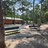 Review photo of Wading Pines Camping Resort by Nicole S., August 31, 2024