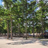 Review photo of Wading Pines Camping Resort by Nicole S., August 31, 2024