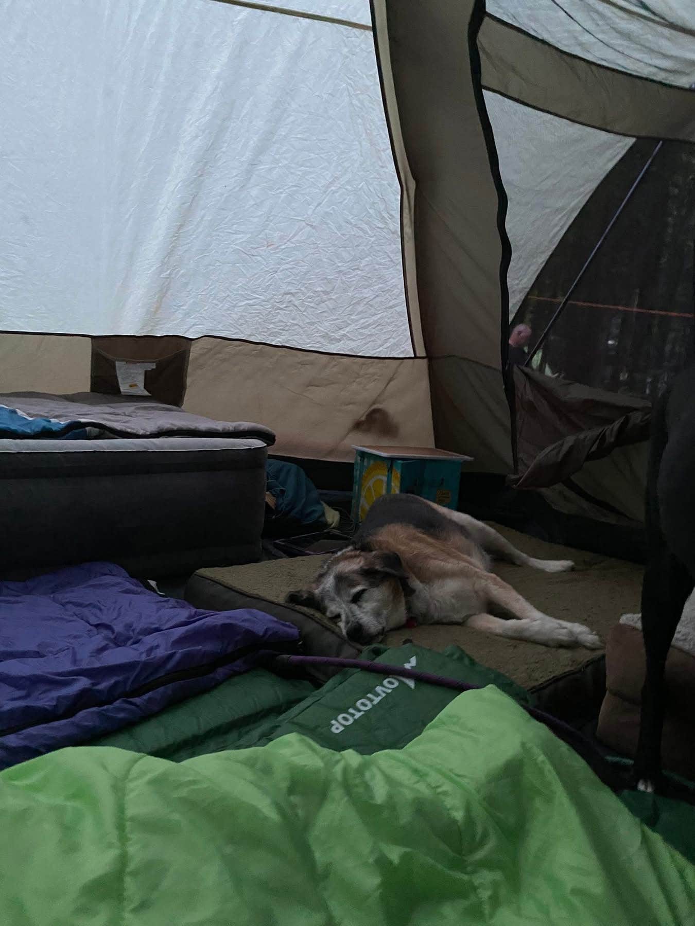 Kay K.'s photo at Wagon Trail Campground near Ellison Bay, WI
