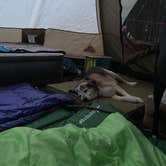 Review photo of Wagon Trail Campground by Kay K., August 24, 2025