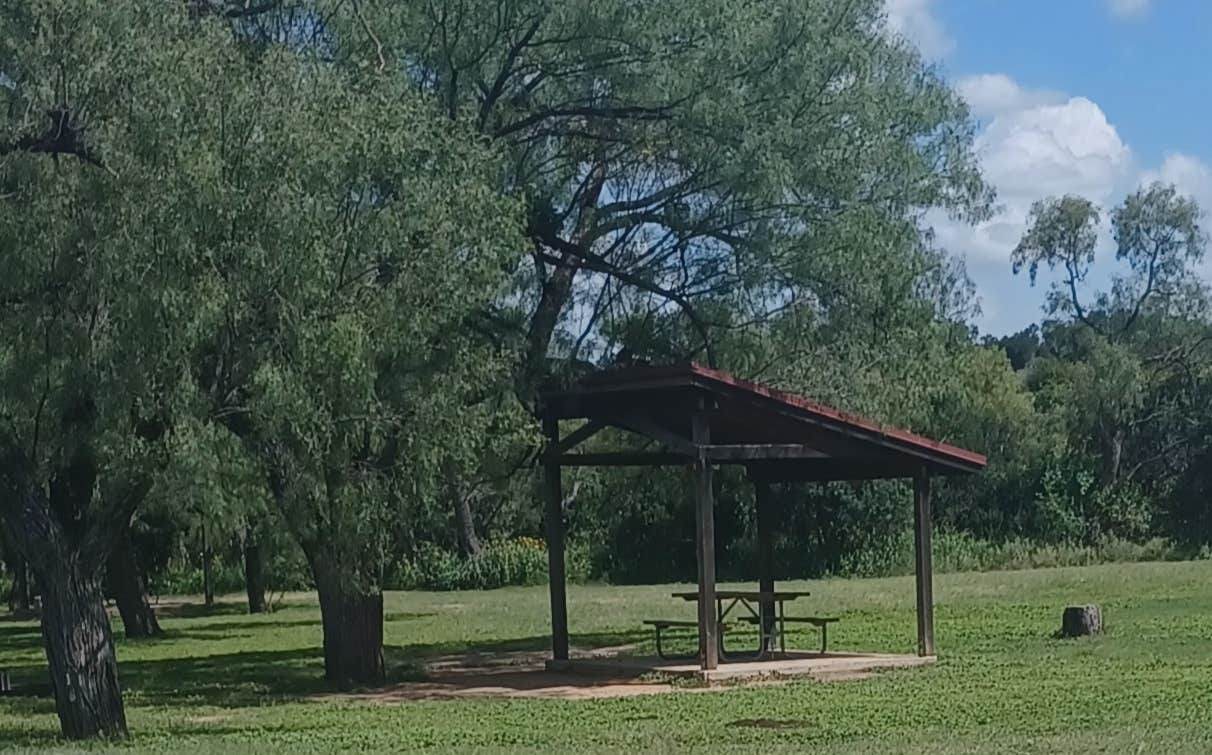 Camper submitted image from Walk-In Camping Area — Enchanted Rock State Natural Area - 4