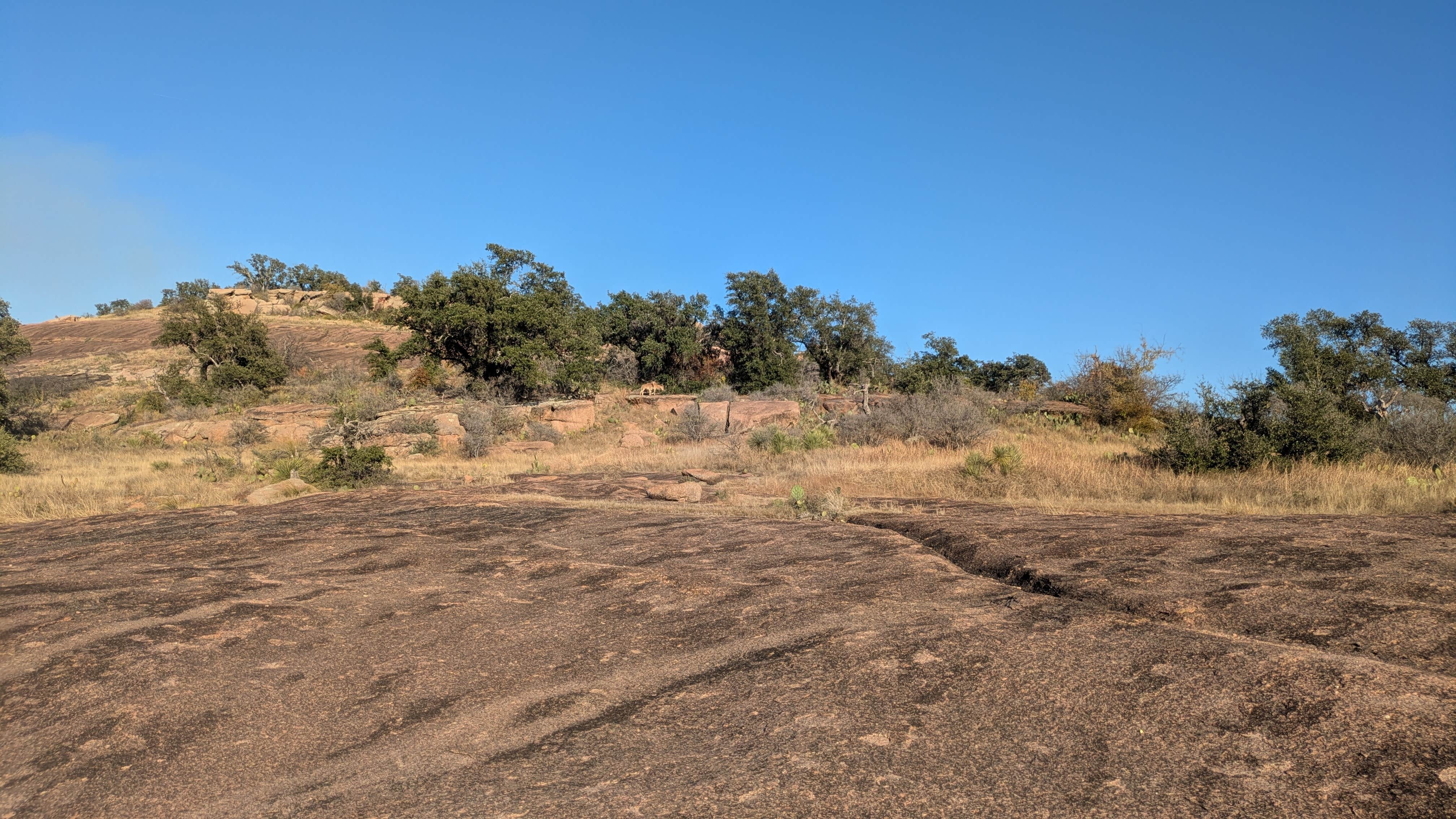 Camper-submitted photo at Walk-In Camping Area — Enchanted Rock State Natural Area near Castell, TX