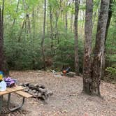 Review photo of Cloudland Canyon State Park - Walk-in Sites by Bethany G., November 23, 2023