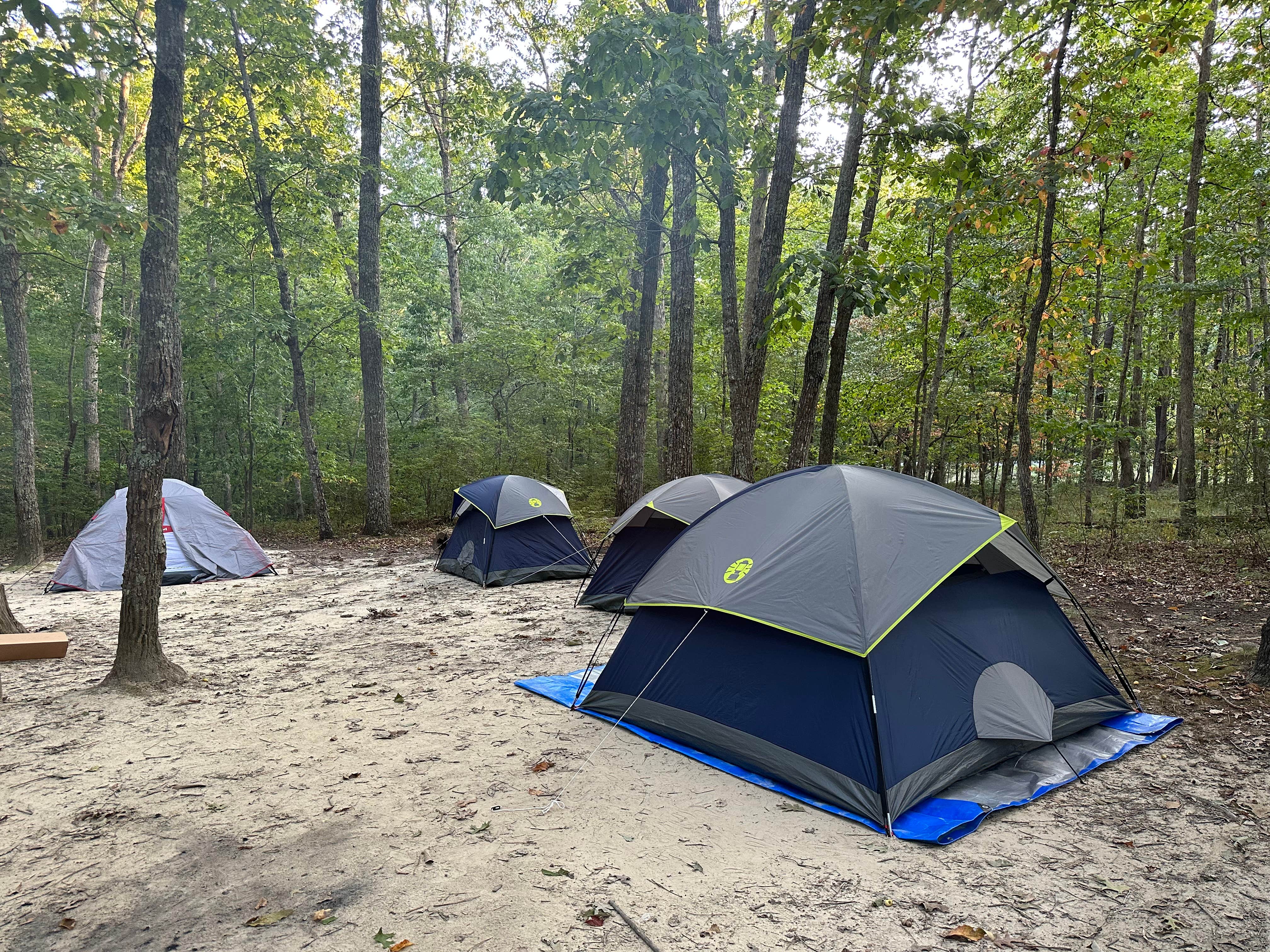 Tent Camping near Rising Fawn GA