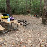 Review photo of Cloudland Canyon State Park - Walk-in Sites by Bethany G., November 23, 2023