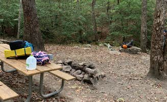 Bethany G.'s photo at Cloudland Canyon State Park Campground near Bridgeport, AL