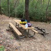 Review photo of Cloudland Canyon State Park - Walk-in Sites by Bethany G., November 23, 2023