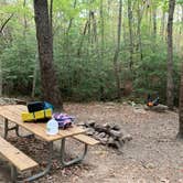 Review photo of Cloudland Canyon State Park - Walk-in Sites by Bethany G., November 23, 2023