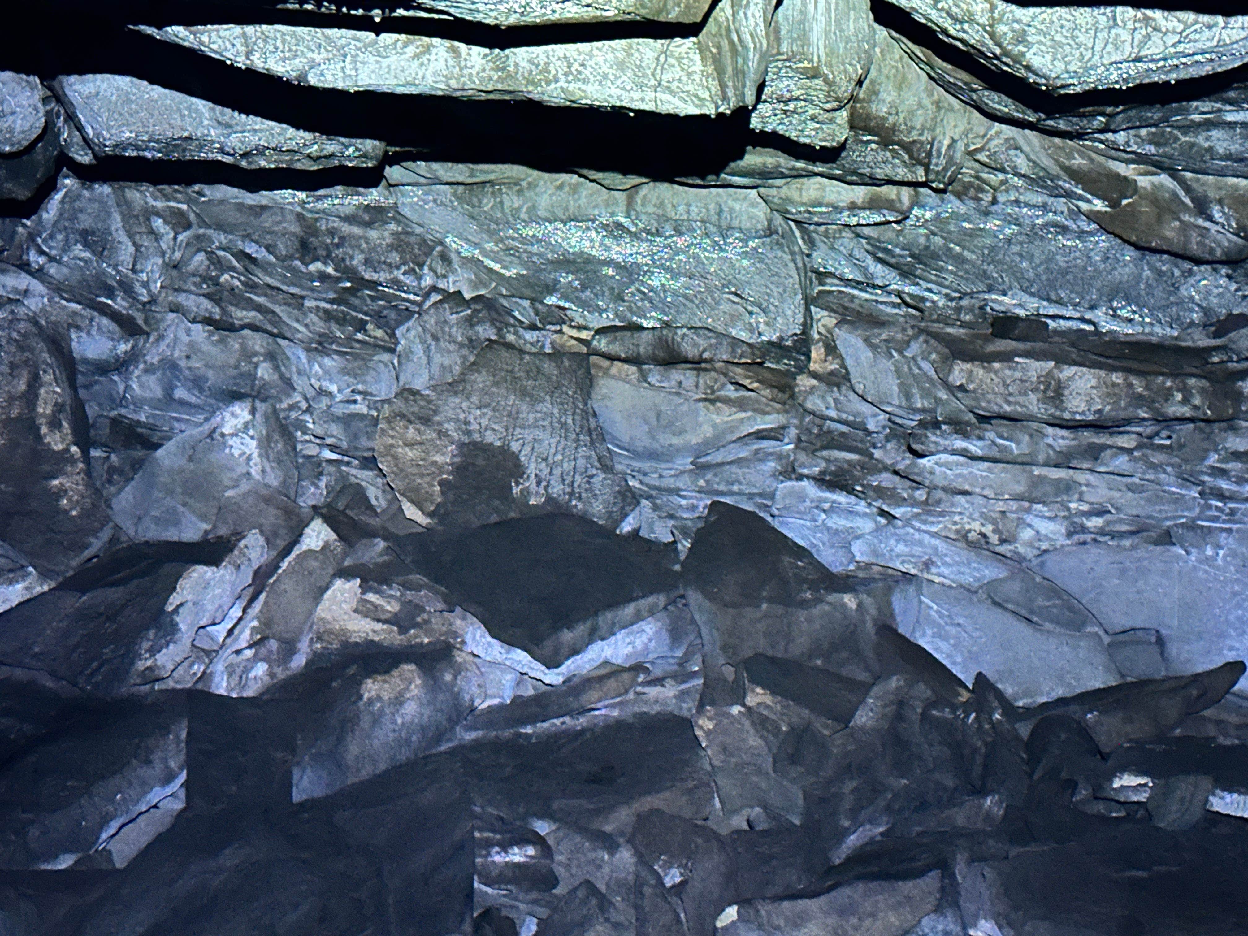 Camper-submitted photo at Walker Hill Dispersed (Coconino NF) near Parks, AZ
